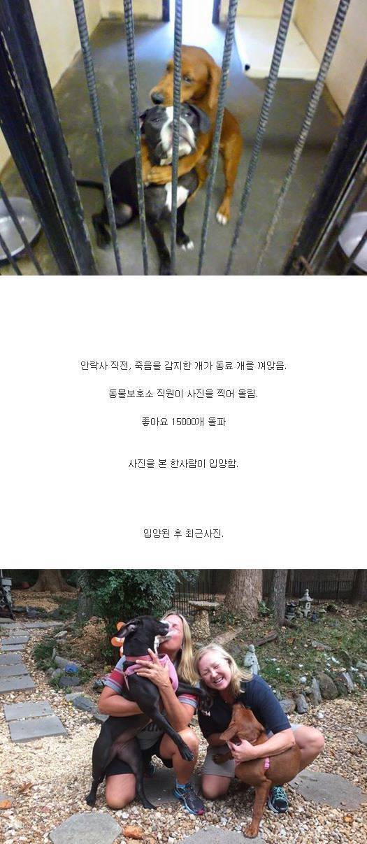 목숨을 살린 단 한장의 사진ㄷㄷㄷ | 인스티즈