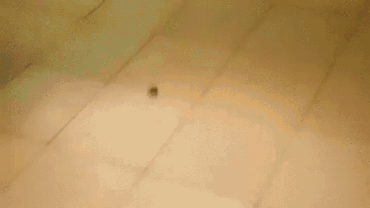 다급한 청소.gif | 인스티즈