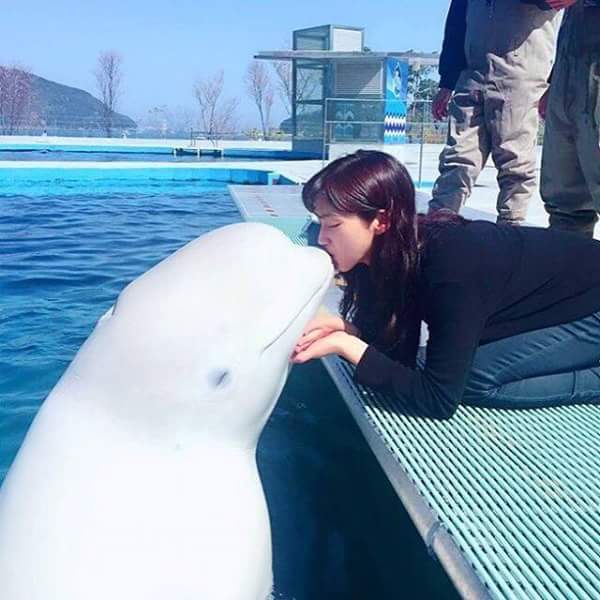 남녀차별하는 돌고래.jpg | 인스티즈