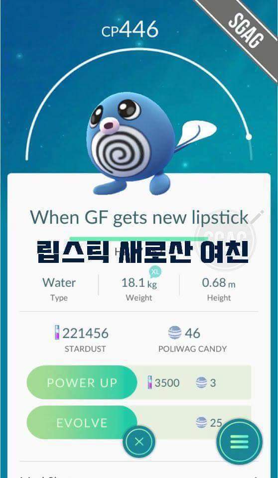 포켓몬은 내 친구 | 인스티즈