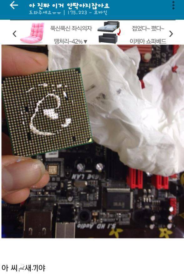 인터넷을 믿으면 안되는 이유.jpg | 인스티즈