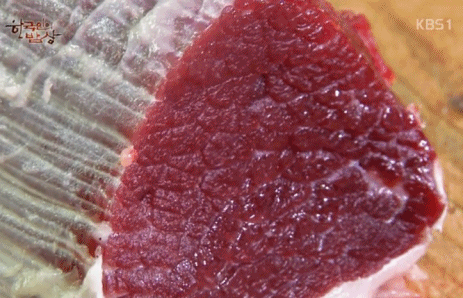 진짜 살아있는 음식 | 인스티즈