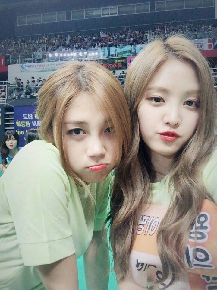 에이핑크 | 인스티즈