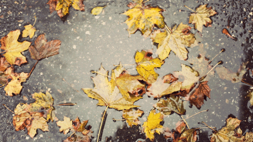 미리보는 가을 .jpg | 인스티즈