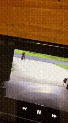 이웃집 개가 너무 안고싶어서 몰래 안아주고 도망간 아이.twt | 인스티즈