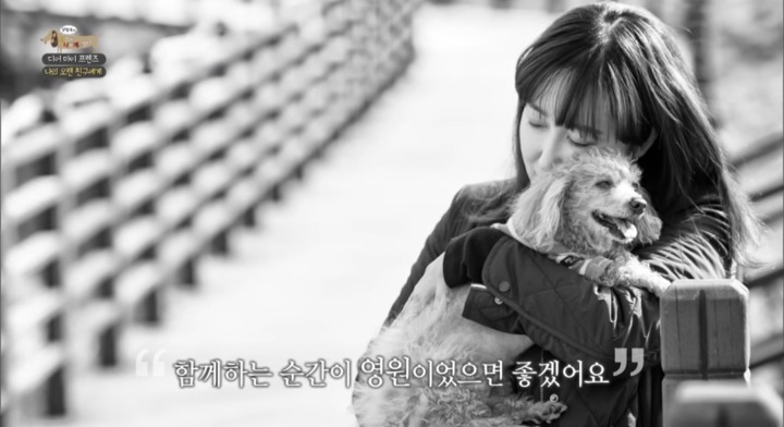 [세나개] 여러분에게 노견은 어떤 의미인가요? | 인스티즈