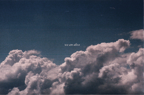 같이 울기 위해서 너를 사랑한 건 아니지만 | 인스티즈