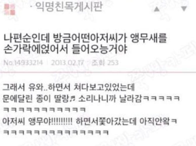 애완 앵무새의 위엄.gif | 인스티즈