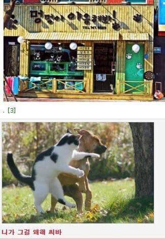 이래도싫다 저래도싫다 | 인스티즈