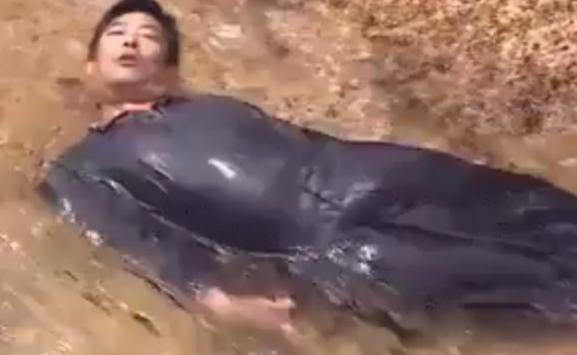 동일인물 | 인스티즈