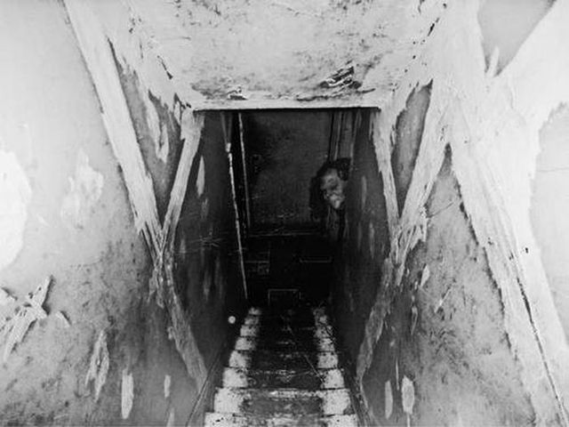  정체를 알 수 없는 사진들 | 인스티즈