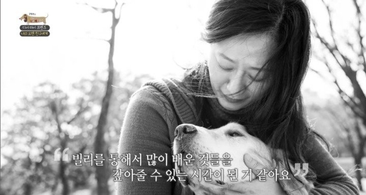 [세나개] 여러분에게 노견은 어떤 의미인가요? | 인스티즈