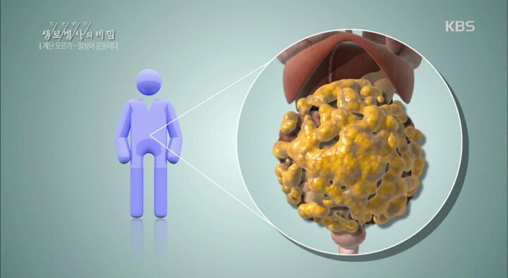 20대 여성의 건강이 위험하다-마른비만.jpg | 인스티즈