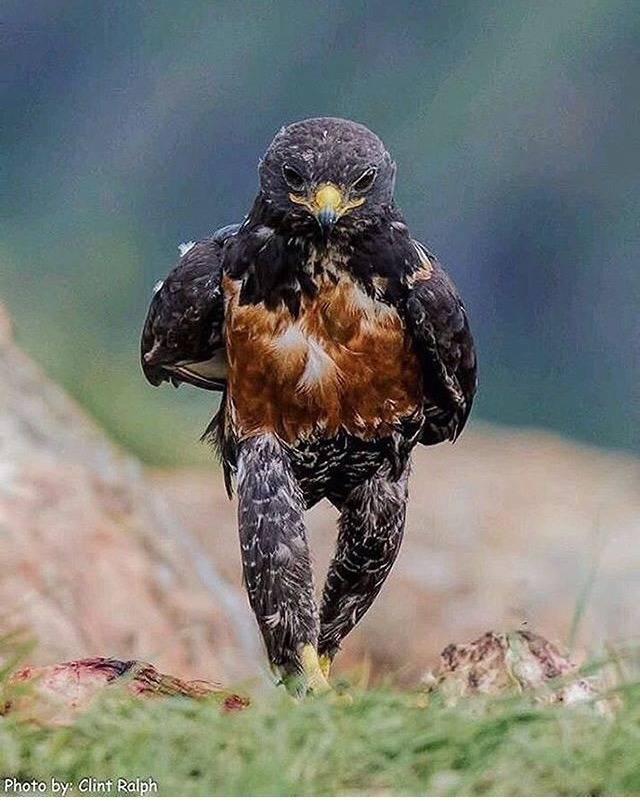 사람인줄 | 인스티즈