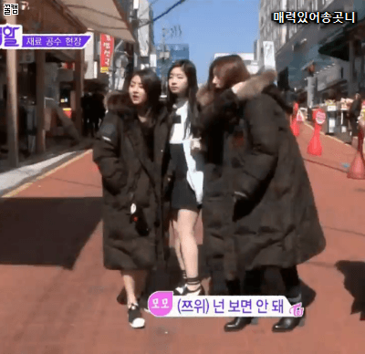 외국인의 문화충격 | 인스티즈