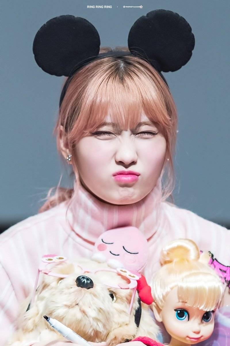 나연 모모 | 인스티즈