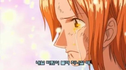 한때 밀집모자 해적단의 동료.... | 인스티즈