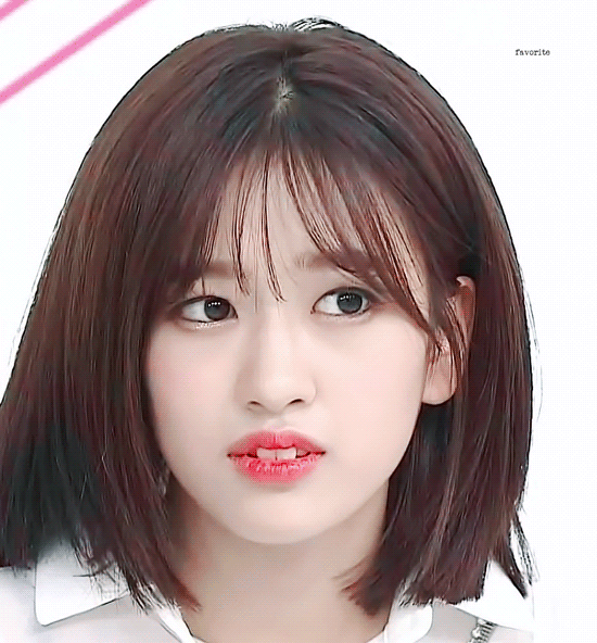 프로듀스48 연습생들의 두형은? | 인스티즈