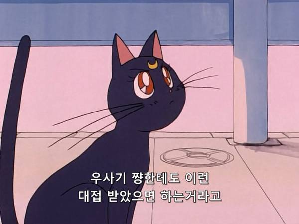 미소녀 전사 세일러문 (美少女戦士セーラームーン) 03 | 인스티즈