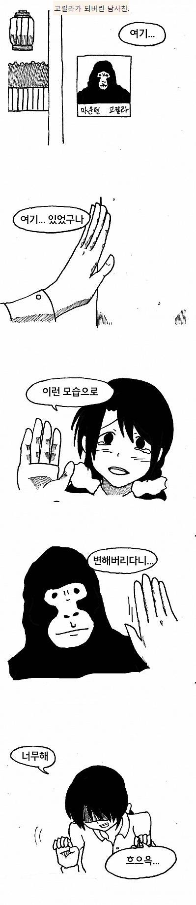 고릴라가 되어버린 남사친.jpg | 인스티즈