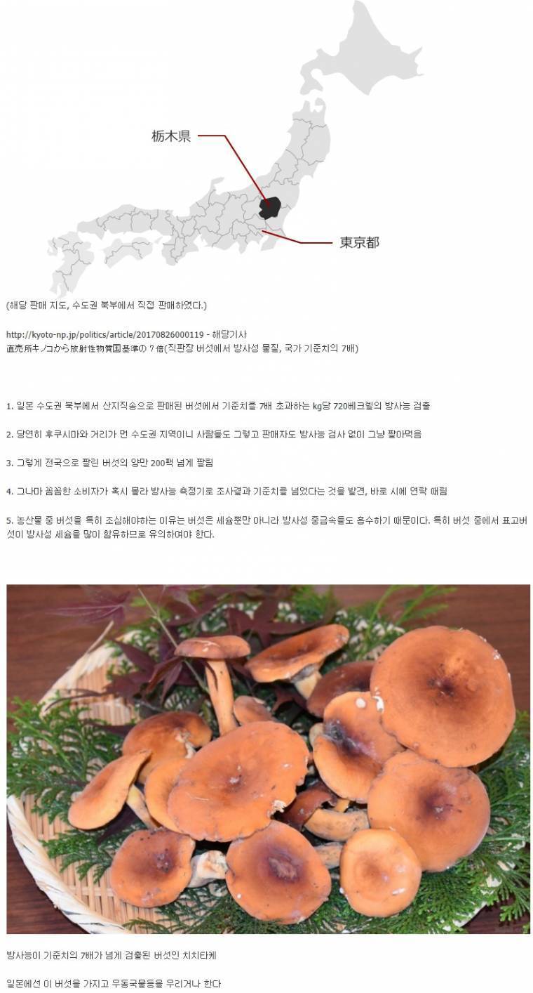 일본에서 버섯을 조심해야 되는 이유 | 인스티즈