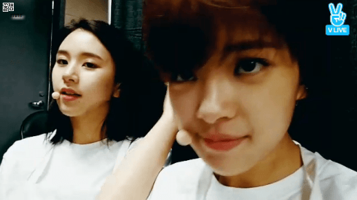 미국가서도 브이앱하는 트와이스 | 인스티즈