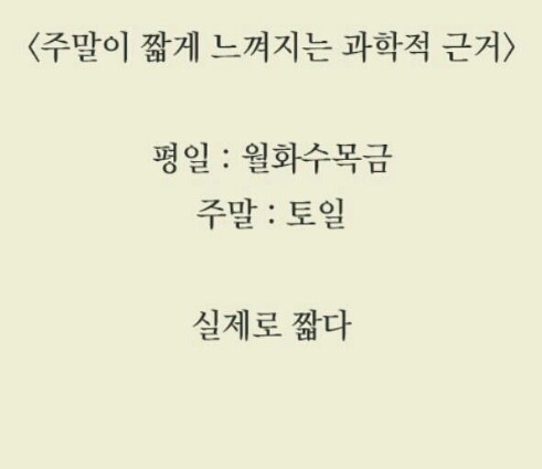 주말이 짧게 느껴지는 이유 | 인스티즈