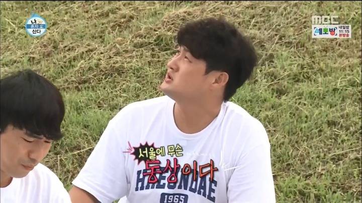 한강에서 갈매기를 본 부산人 | 인스티즈