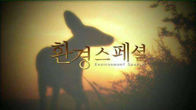 수요일 밤 10시면 꼭 보던 프로그램.jpg | 인스티즈