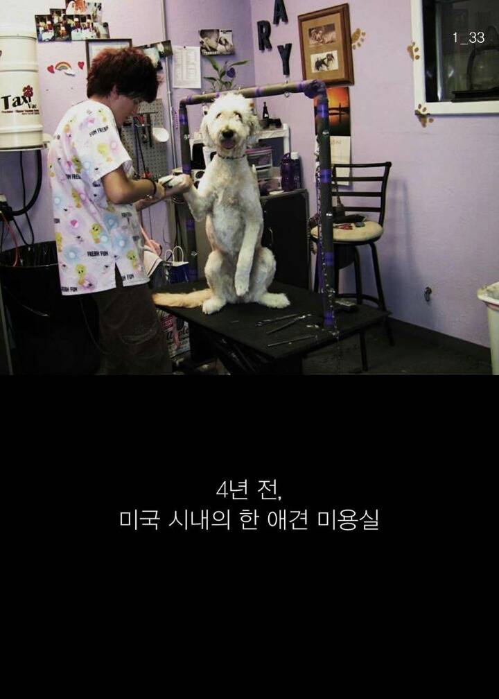 유튜브에서 난리 난 미국인의 이상한 도전 | 인스티즈