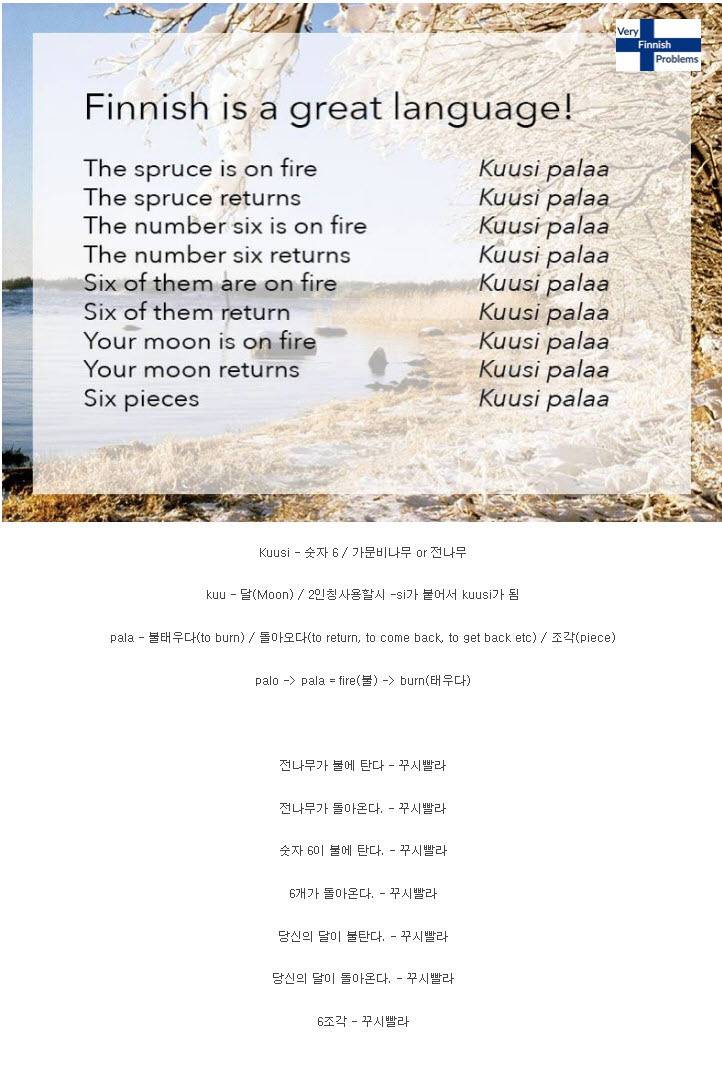 핀란드 어의 위엄 | 인스티즈