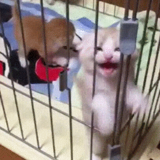 날 여기서 꺼내줘 | 인스티즈