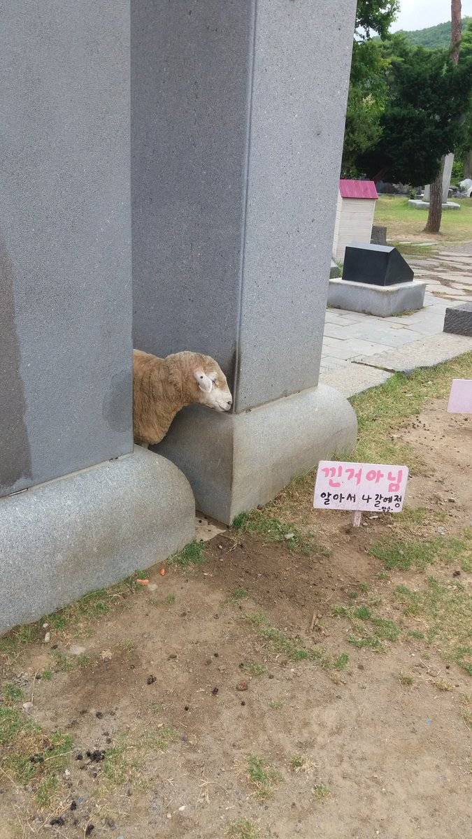 헐 도와줘야하는건가? | 인스티즈