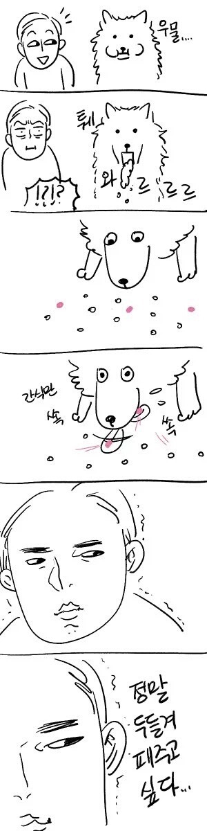 강아지 편식할때 공감.jpg | 인스티즈