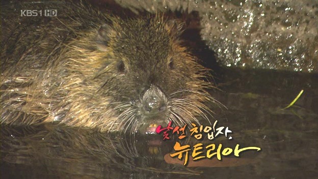 수요일 밤 10시면 꼭 보던 프로그램.jpg | 인스티즈