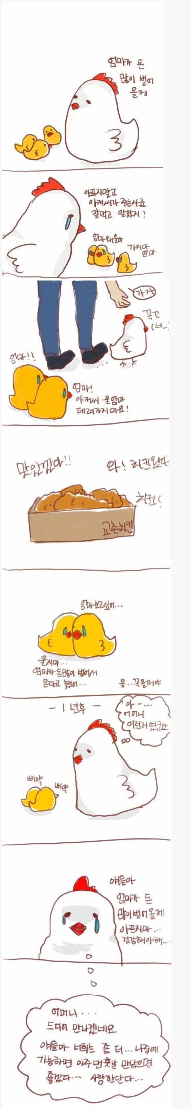 치킨 먹기전에 꼭 봐야하는 짤.JPEG | 인스티즈