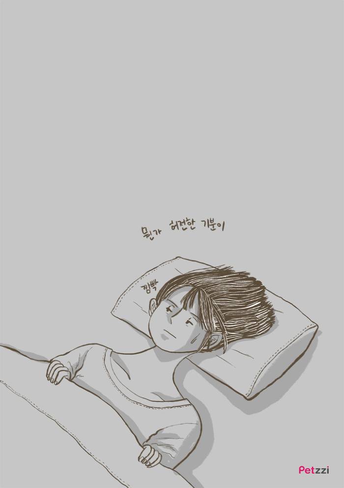 이해할 수 없는 고양이들의 취향.jpg | 인스티즈