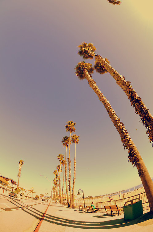 지친 당신을 위로해주는 사진.jpg | 인스티즈