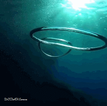 물속 공기링끼리 만나면 | 인스티즈