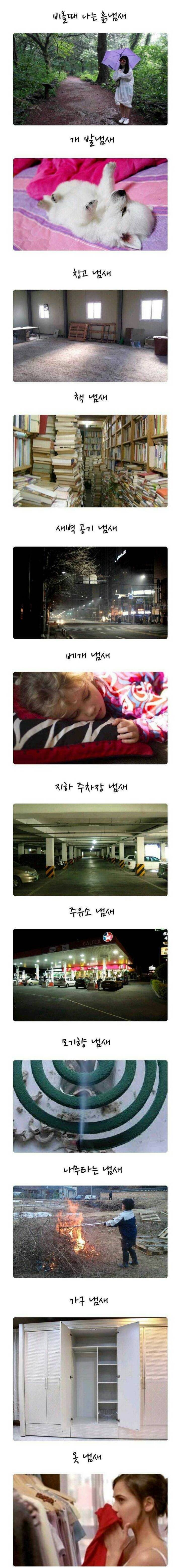 하나쯤은 좋아할 냄새 | 인스티즈