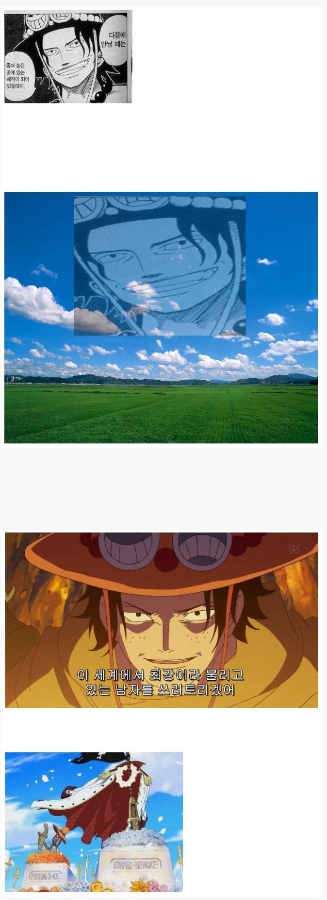 원피스 최고의 약속왕 | 인스티즈