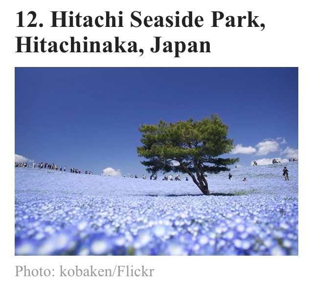 지구상에서 가장 신비로운 장소 16곳.jpg | 인스티즈