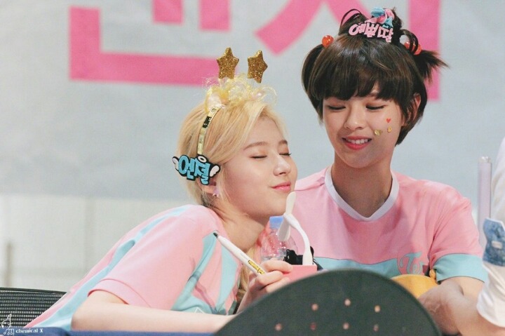 트와이스 애완 멤버.gif | 인스티즈