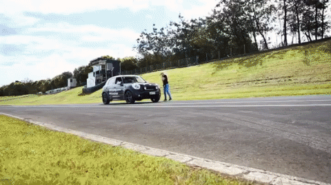 운전하는 개님.gif | 인스티즈