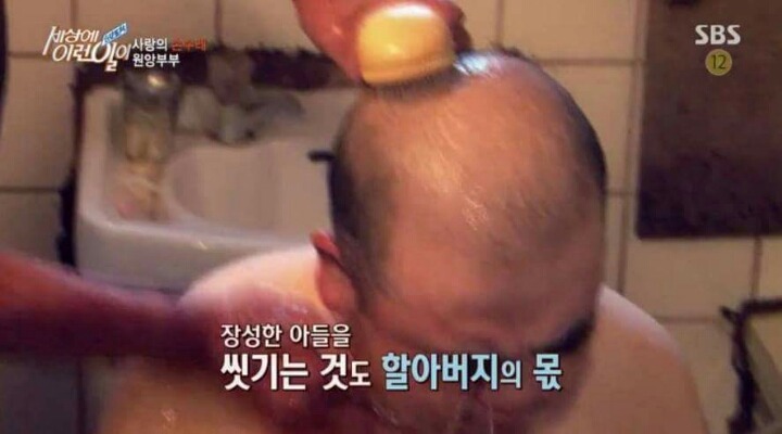 학교폭력 사라져야하는 이유 | 인스티즈