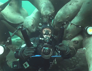 개는 개인듯... | 인스티즈