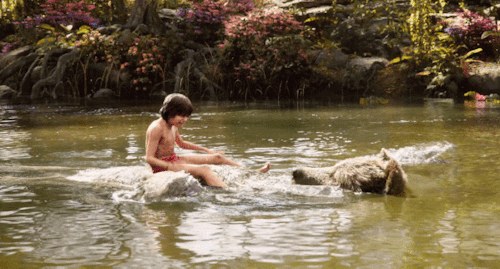 정글북의 진실.gif | 인스티즈