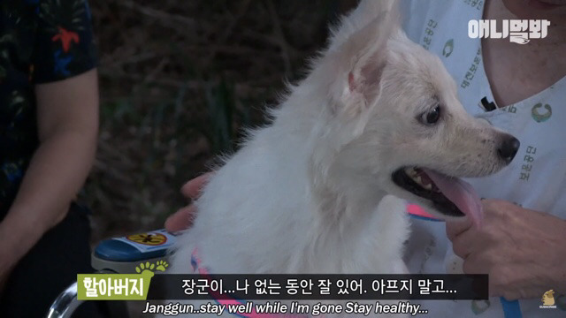 주인님이 열흘 째 문을 열어주지 않아요.. (캡쳐) | 인스티즈