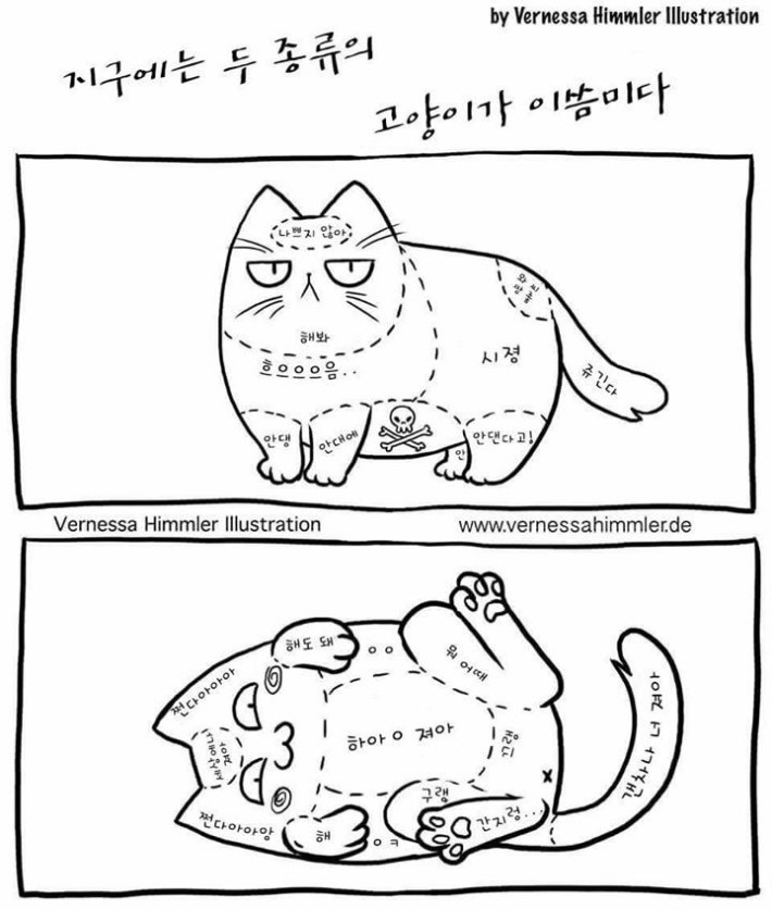 지구상에는 두 종류의 고양이가있다.jpg | 인스티즈