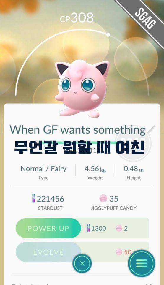 포켓몬은 내 친구 | 인스티즈